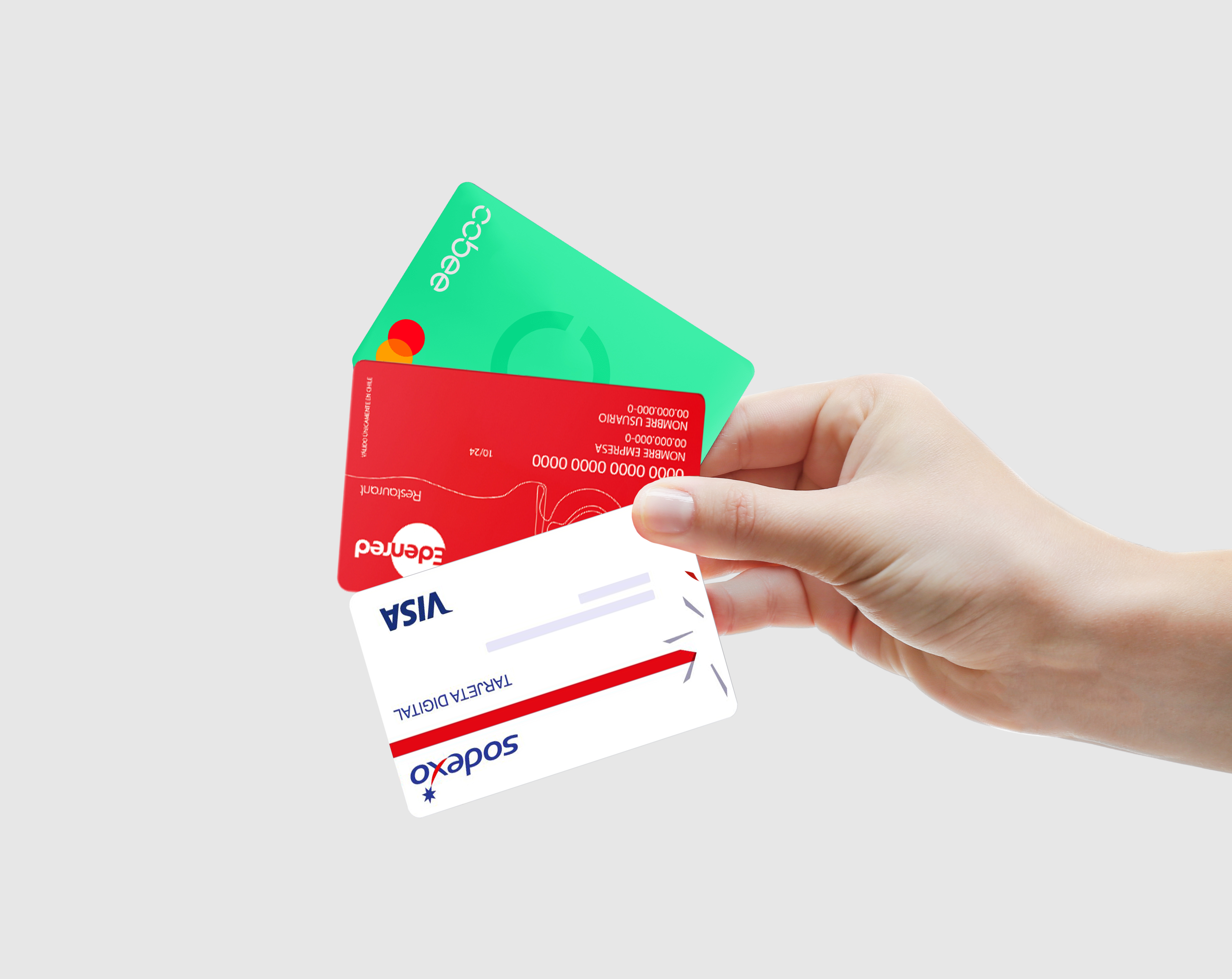 Retribución flexible y subvenciones totales o parciales, incluso por días y departamentos