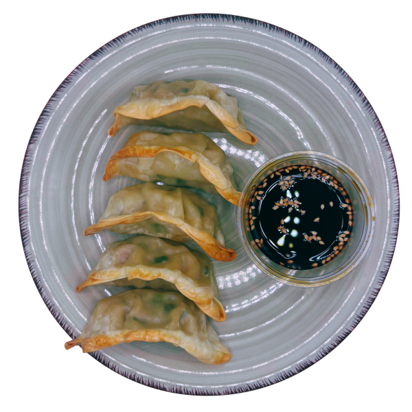 Gyozas de verduras y pollo